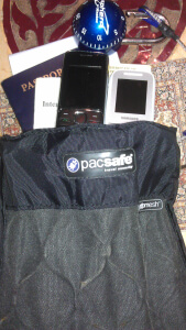 PacSafe Travelsafe