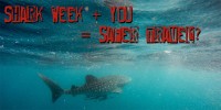 Shark week travel safety