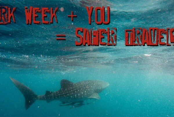 Shark week travel safety